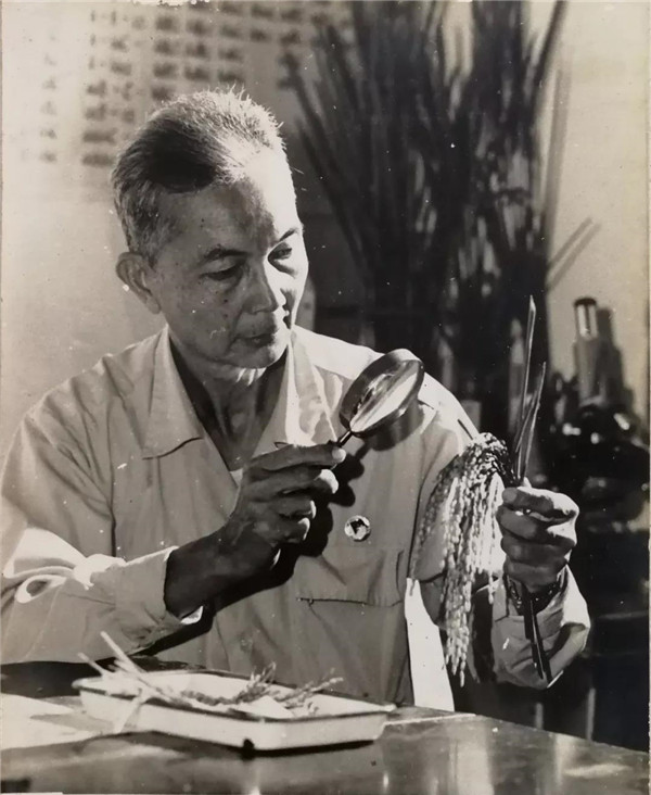 图片说明