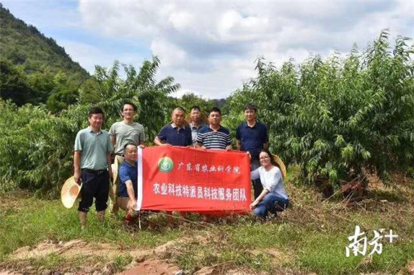 图片说明