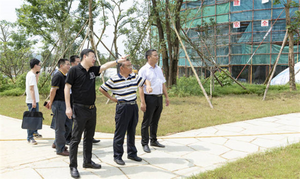 图片说明