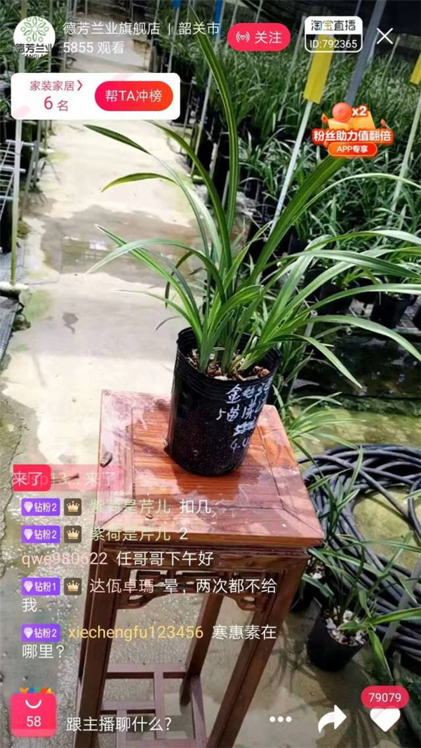 图片说明