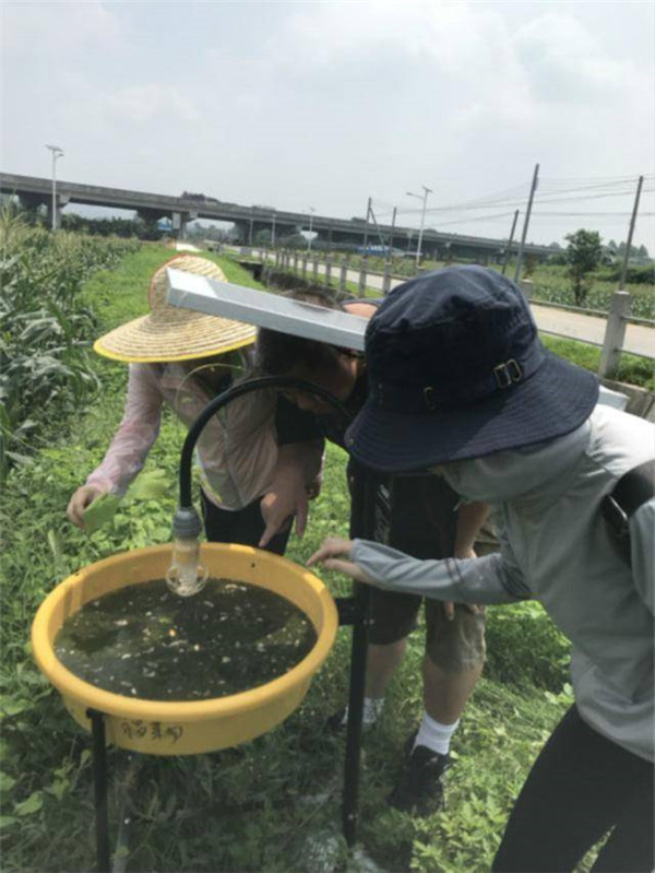 图片说明