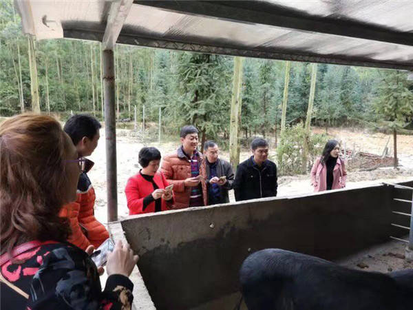 图片说明