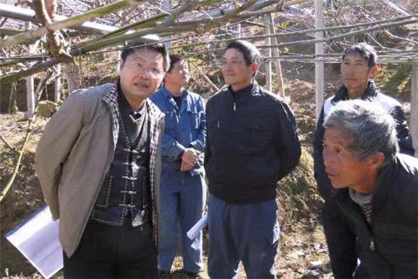 图片说明