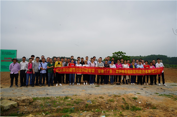 图片说明