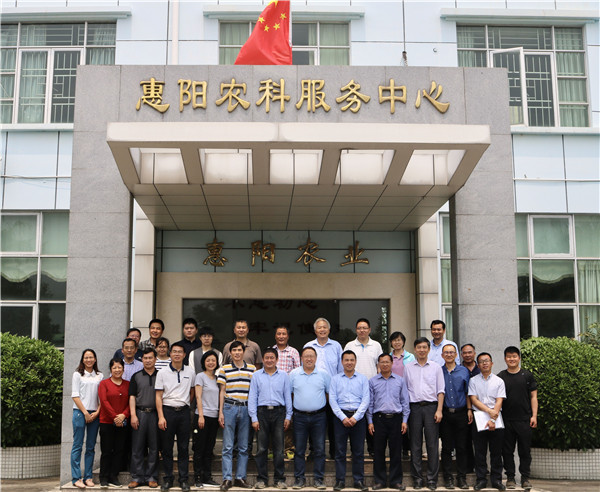图片说明