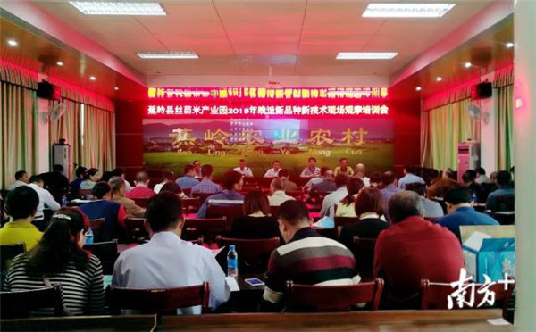 图片说明