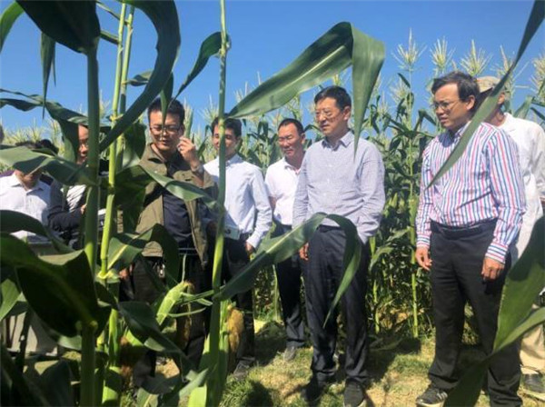 图片说明