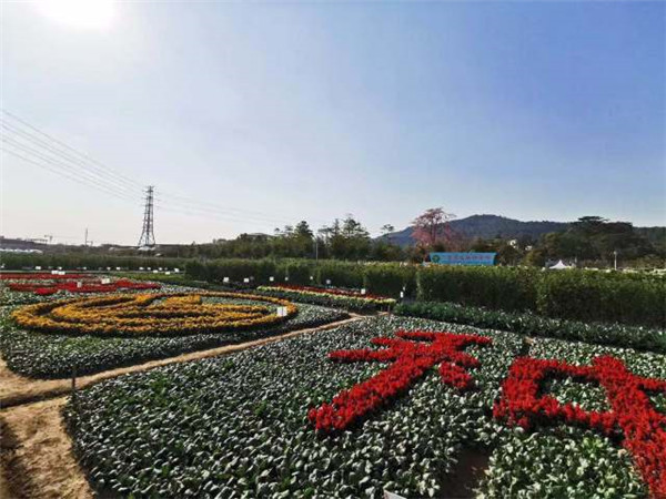 图片说明