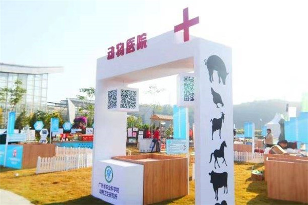 图片说明