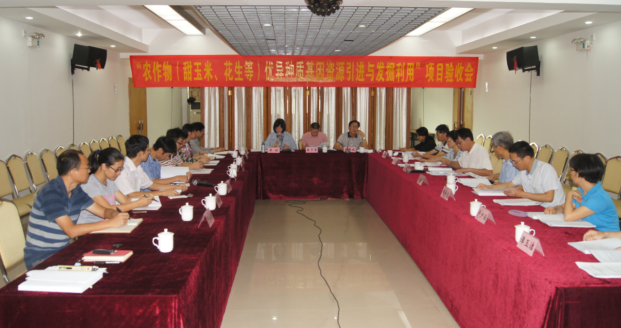 图片说明