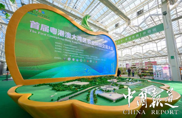 图片说明