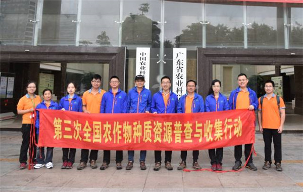 图片说明