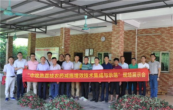 图片说明