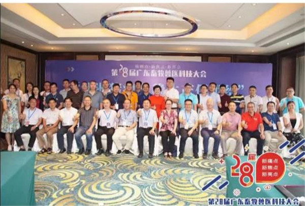 图片说明
