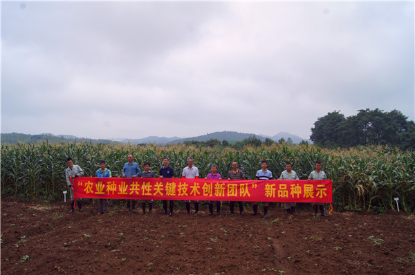 图片说明