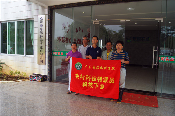 图片说明