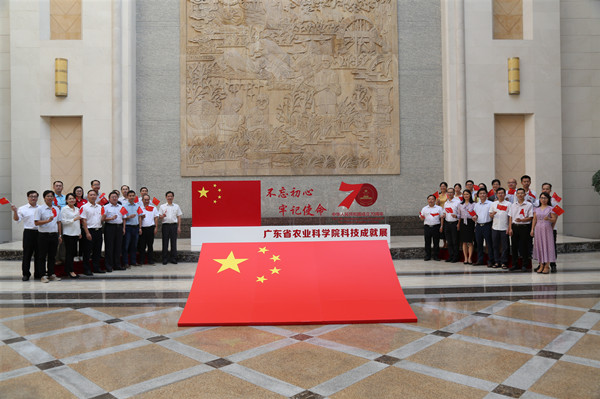 图片说明