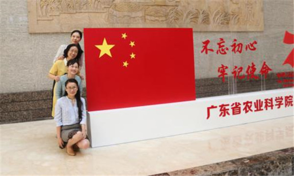 图片说明
