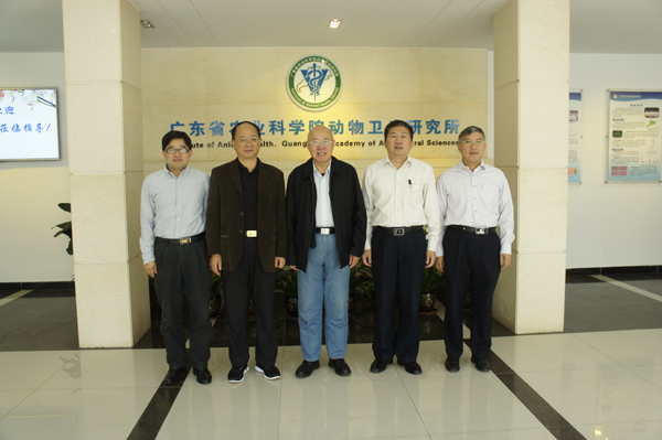 图片说明