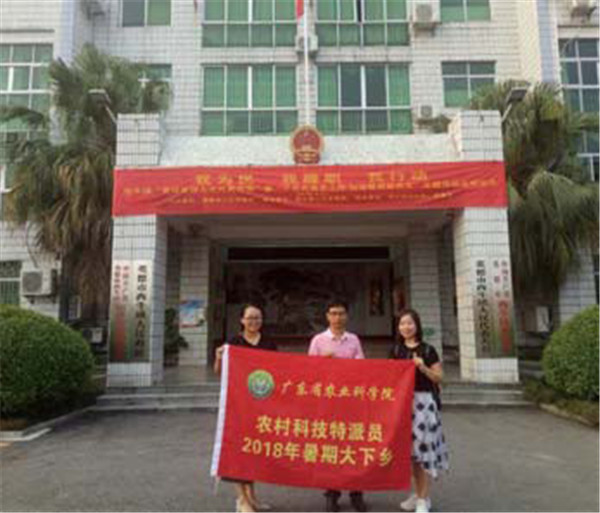 图片说明