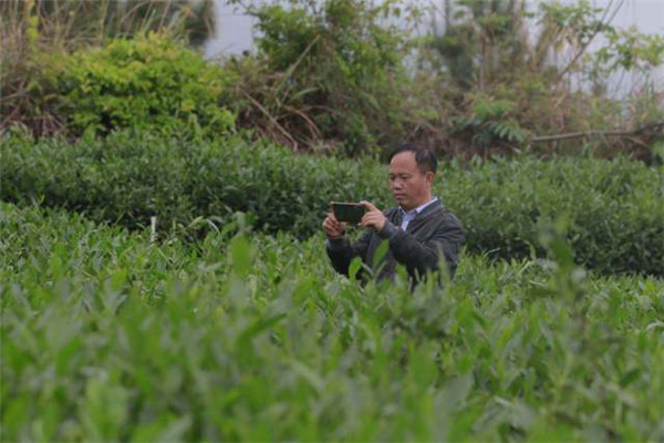 图片说明