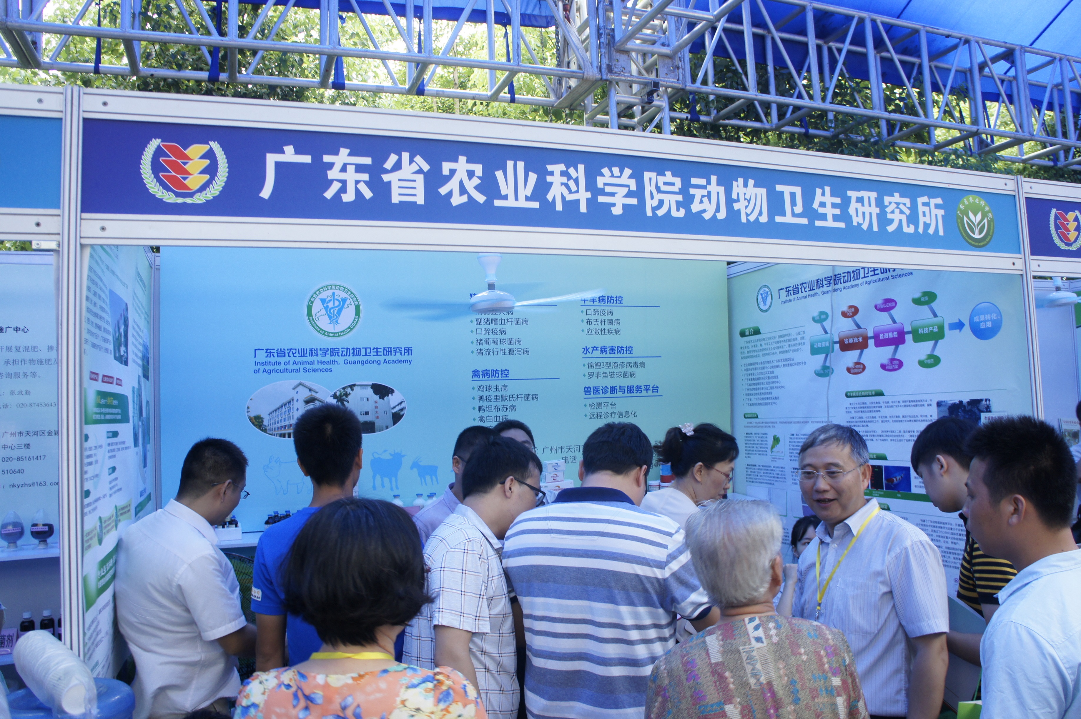 图片说明