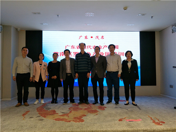 图片说明