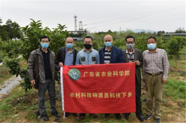 图片说明