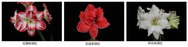 图片说明