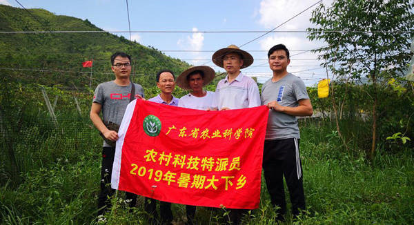 图片说明