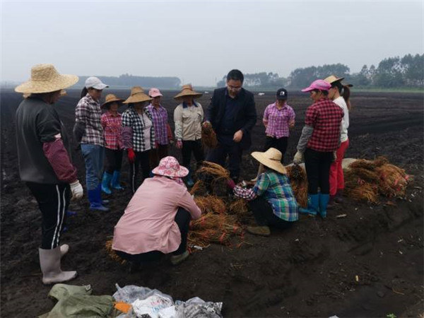 图片说明