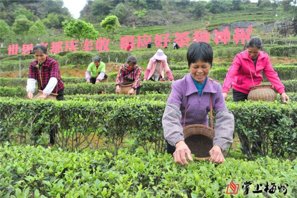 图片说明
