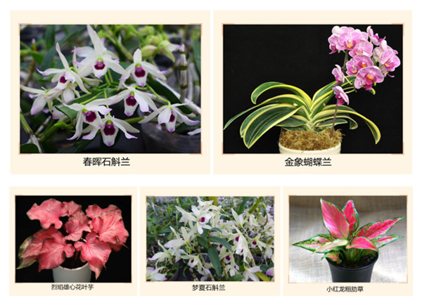 图片说明
