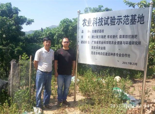图片说明