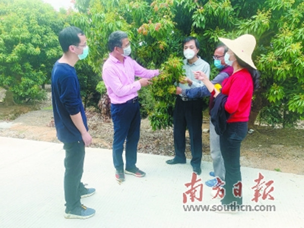 图片说明