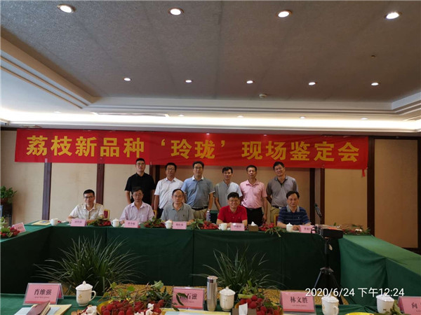 图片说明