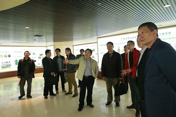 图片说明