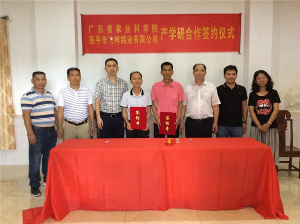 图片说明