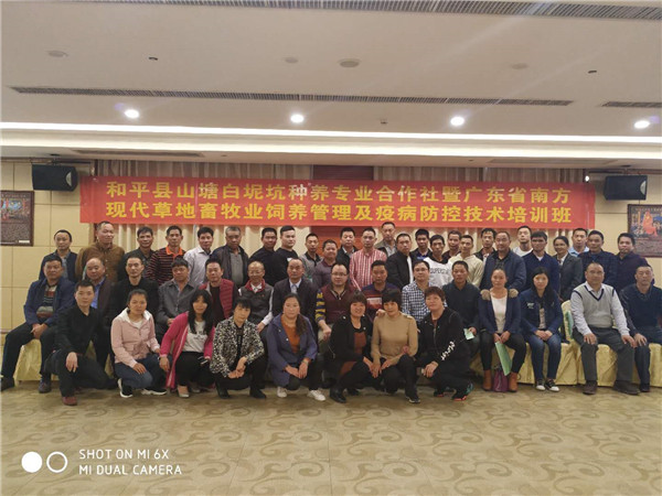 图片说明