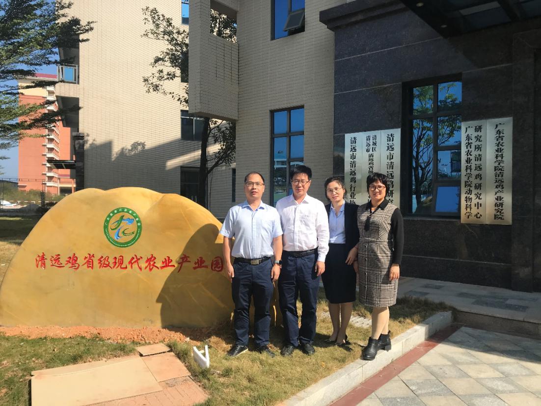 图片说明