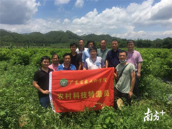 图片说明