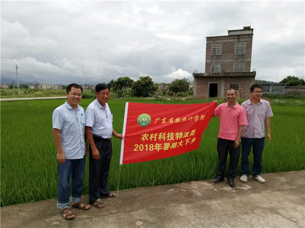 图片说明