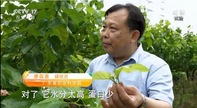 图片说明