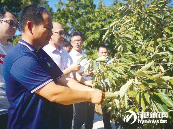 图片说明