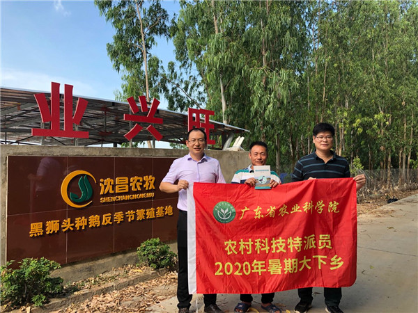 图片说明