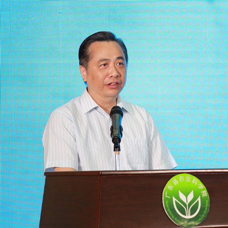 图片说明