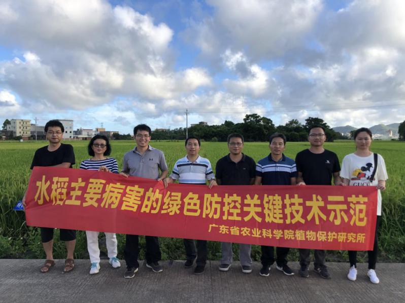 图片说明