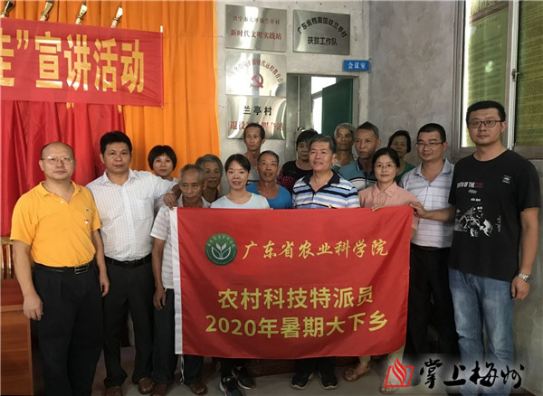 图片说明