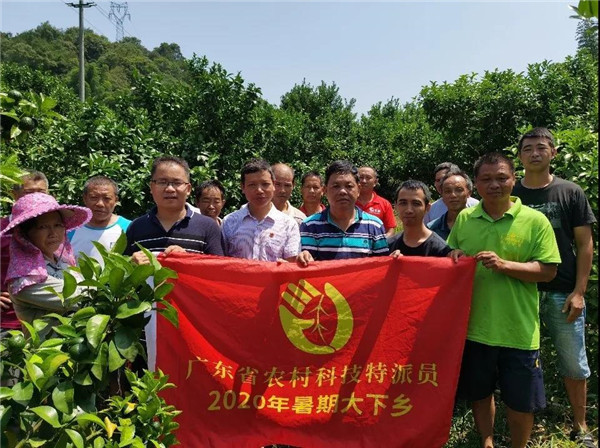 图片说明