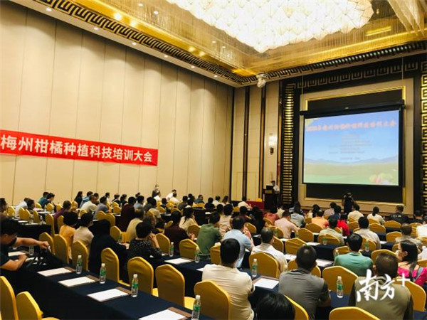 图片说明
